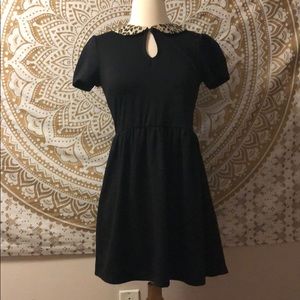 FOREVER 21 LEOPARD PRINT COLLAR BLACK FLARE DRESS